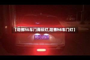 【哈佛h6车门商标灯,哈弗h6车门灯】
