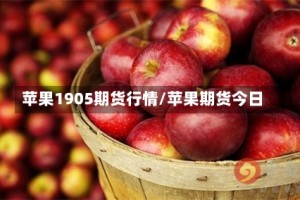 苹果1905期货行情/苹果期货今日