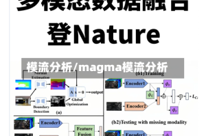 模流分析/magma模流分析