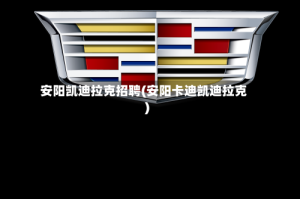 安阳凯迪拉克招聘(安阳卡迪凯迪拉克)