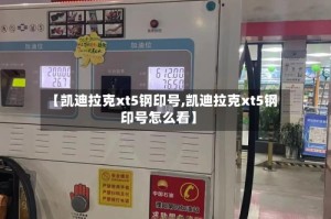 【凯迪拉克xt5钢印号,凯迪拉克xt5钢印号怎么看】