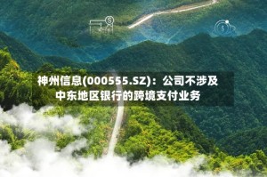 神州信息(000555.SZ)：公司不涉及中东地区银行的跨境支付业务