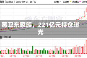 葛卫东家族，221亿元持仓曝光