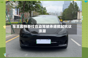 车主因特斯拉自动驾驶承诺掀起抗议浪潮