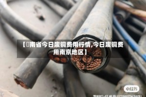 【泀南省今日废铜费用行情,今日废铜费用南京地区】