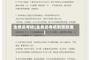 业务员考核(业务员考核制度标准)