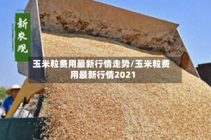 玉米粒费用最新行情走势/玉米粒费用最新行情2021