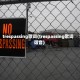 trespassing歌词(trespassing歌词谐音)