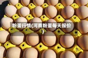 粉蛋行情(河南粉蛋每天报价)