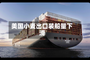 美国小麦出口装船量下滑