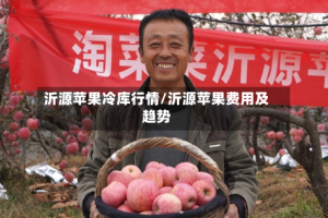 沂源苹果冷库行情/沂源苹果费用及趋势