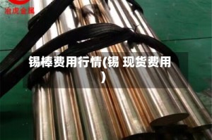 锡棒费用行情(锡 现货费用)