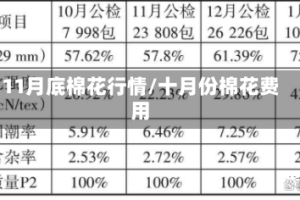 11月底棉花行情/十月份棉花费用