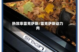 热效率雷克萨斯/雷克萨斯动力肉