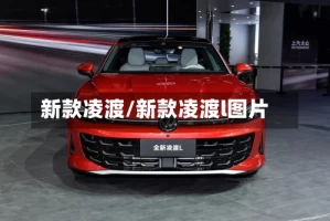新款凌渡/新款凌渡l图片