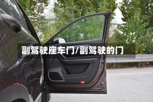 副驾驶座车门/副驾驶的门