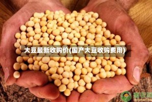 大豆最新收购价(国产大豆收购费用)