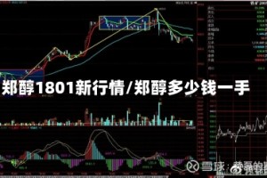 郑醇1801新行情/郑醇多少钱一手