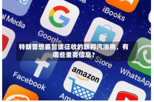 特朗普想要暂缓征收的联邦汽油税，有哪些重要信息？