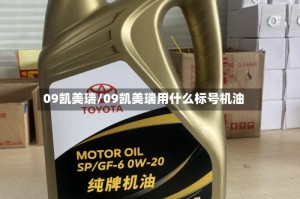 09凯美瑞/09凯美瑞用什么标号机油