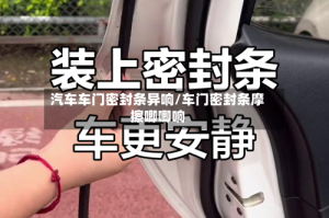 汽车车门密封条异响/车门密封条摩擦唧唧响