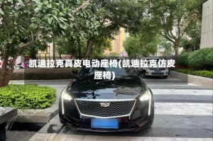凯迪拉克真皮电动座椅(凯迪拉克仿皮座椅)