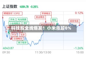 科技股全线爆发！小米涨超8%