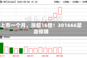 上市一个月，涨超16倍！301666紧急停牌