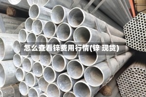 怎么查看锌费用行情(锌 现货)