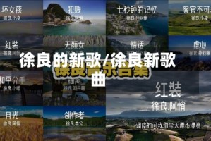 徐良的新歌/徐良新歌曲