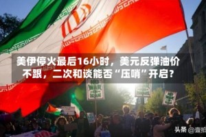 美伊停火最后16小时，美元反弹油价不跟，二次和谈能否“压哨”开启？