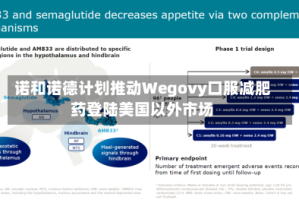 诺和诺德计划推动Wegovy口服减肥药登陆美国以外市场