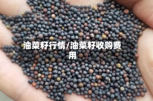 油菜籽行情/油菜籽收购费用