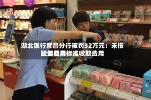 湖北银行宜昌分行被罚32万元：未按服务费用公示目录标准收取费用