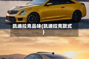 凯迪拉克品味(凯迪拉克款式)