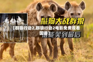 【群狼行动2,群狼行动2电影免费观看国语】