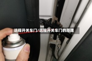 远程开关车门/远程开关车门的原理