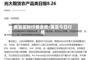 美豆实时行情走势/美豆今日行情