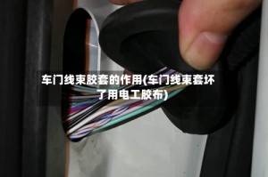 车门线束胶套的作用(车门线束套坏了用电工胶布)
