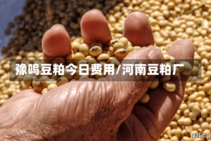 豫鸣豆粕今日费用/河南豆粕厂