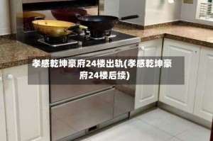 孝感乾坤豪府24楼出轨(孝感乾坤豪府24楼后续)