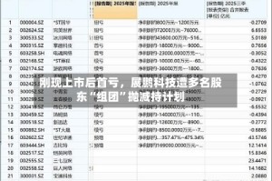 刚现上市后首亏，展鹏科技遭多名股东“组团”抛减持计划