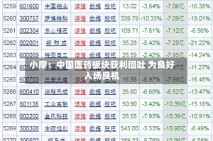 小摩：中国医药板块获利回吐 为良好入场良机