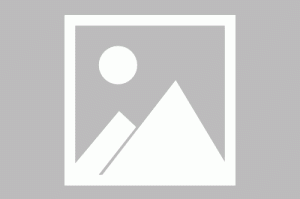 【煤炭费用走势生意社,煤炭行情价】