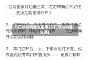 车门吱吱响怎么回事(车门吱吱响怎么办)