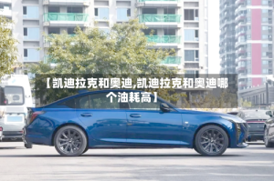 【凯迪拉克和奥迪,凯迪拉克和奥迪哪个油耗高】