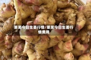 莱芜今日生姜行情/莱芜今日生姜行情费用