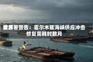 世界能源署警告：霍尔木兹海峡供应冲击修复需耗时数月