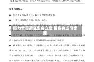 巨力索具遭证监会立案 投资者或可索赔