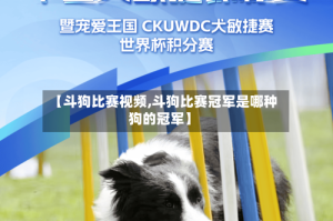 【斗狗比赛视频,斗狗比赛冠军是哪种狗的冠军】